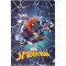 Spiderman student Name label (Large)
