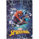 Spiderman student Name label (Large) image