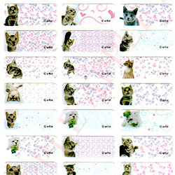 Big-head cat name stickers (Cat fans’ favorite daily-use name stickers)