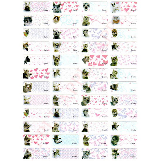 Big-head cat name stickers (Cat fans’ favorite daily-use name stickers) Other cartoon sticker image