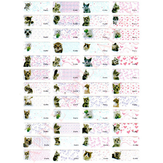 Big-head cat name stickers (Cat fans’ favorite daily-use name stickers) Other cartoon sticker image