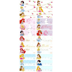 Disney Princess Waterproof Name Sticker (Large)