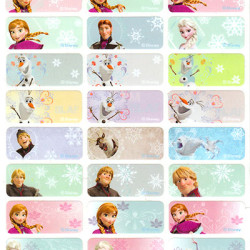  Disney Frozen冰雪奇緣姓名貼紙  (大)